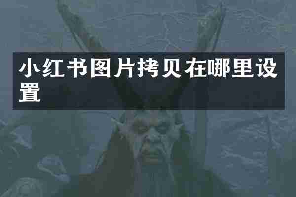 小红书图片拷贝在哪里设置