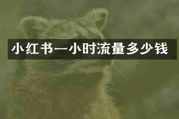 小红书一小时流量多少钱