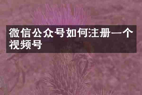 微信公众号如何注册一个视频号