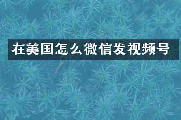 在美国怎么微信发视频号