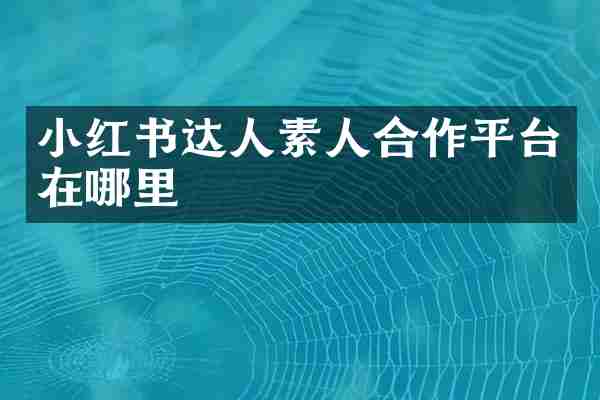 小红书达人素人合作平台在哪里