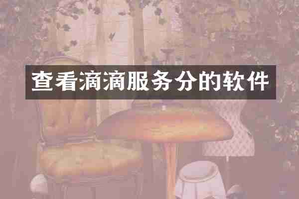 查看滴滴服务分的软件