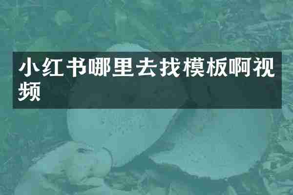 小红书哪里去找模板啊视频