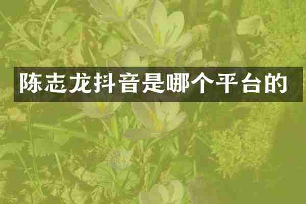陈志龙抖音是哪个平台的