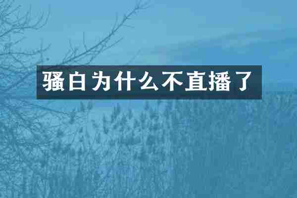 骚白为什么不直播了