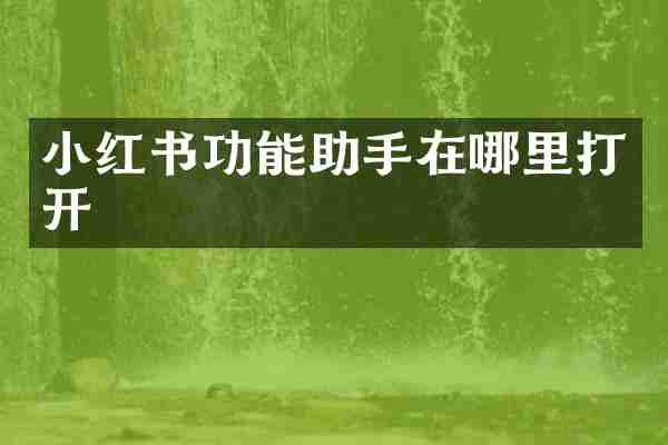 小红书功能助手在哪里打开