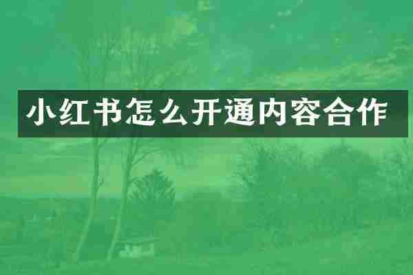 小红书怎么开通内容合作