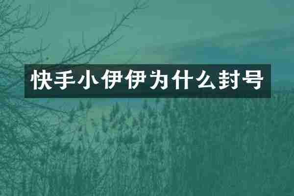 快手小伊伊为什么封号