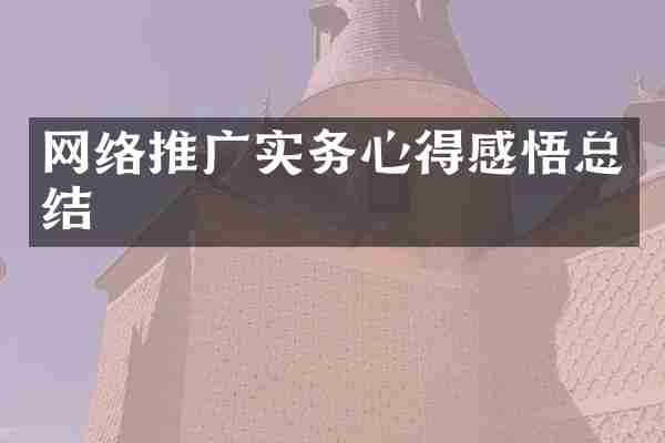网络推广实务心得感悟总结