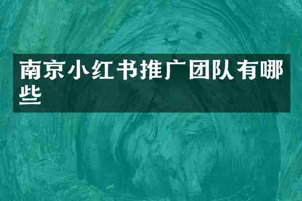 南京小红书推广团队有哪些