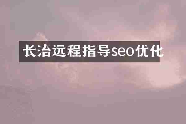 长治远程指导seo优化