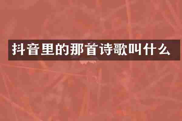 抖音里的那首诗歌叫什么
