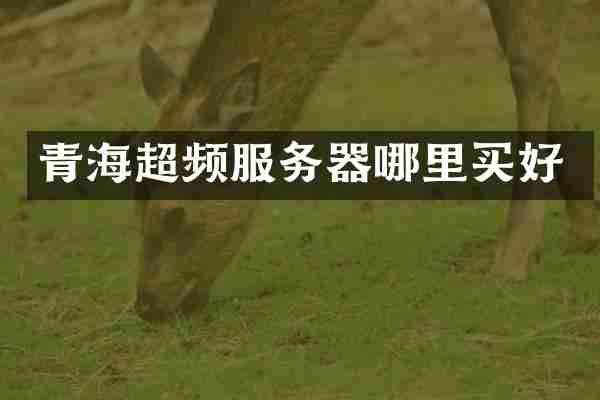 青海超频服务器哪里买好