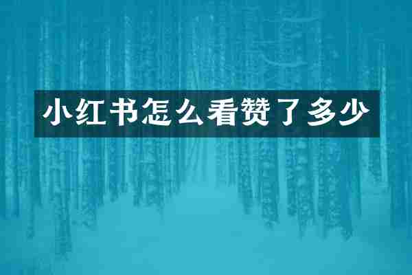 小红书怎么看赞了多少