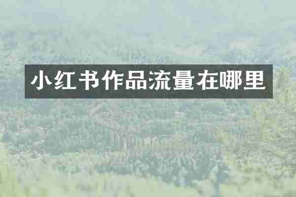 小红书作品流量在哪里