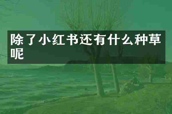 除了小红书还有什么种草呢