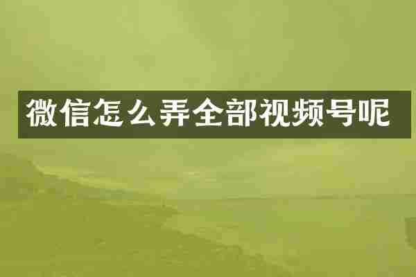 微信怎么弄全部视频号呢