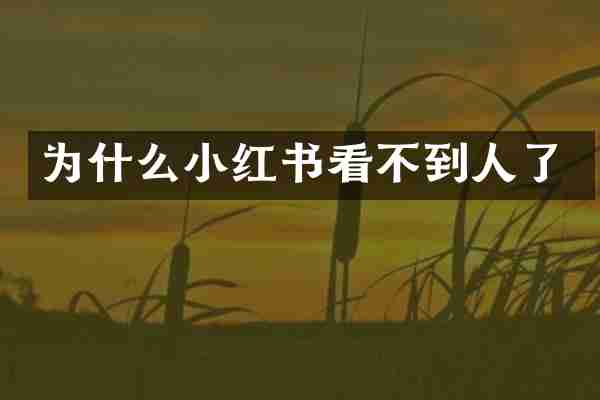 为什么小红书看不到人了