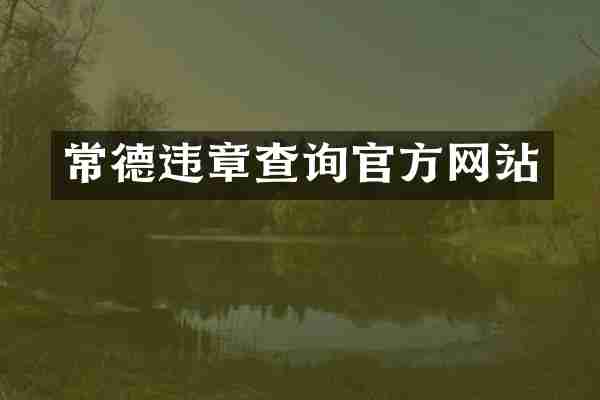 常德违章查询官方网站