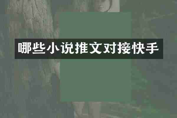 哪些小说推文对接快手