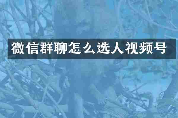 微信群聊怎么选人视频号