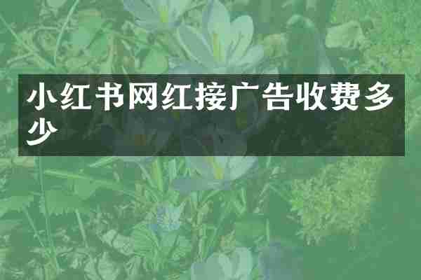 小红书网红接广告收费多少