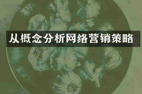 从概念分析网络营销策略