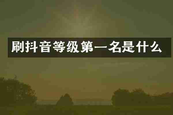 刷抖音等级第一名是什么