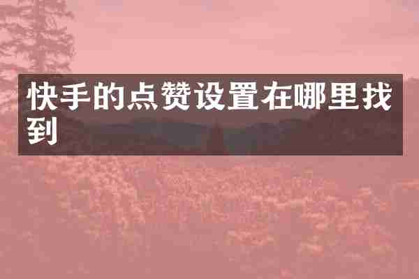 快手的点赞设置在哪里找到