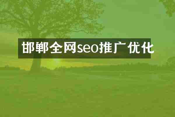 邯郸全网seo推广优化