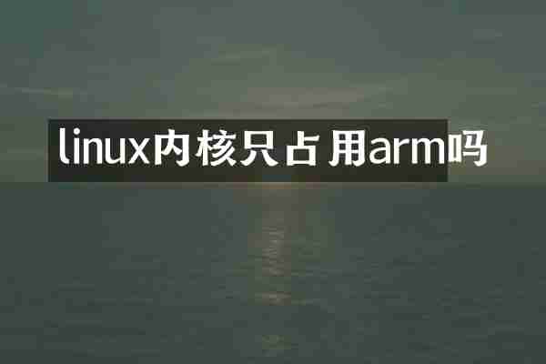 linux内核只占用arm吗