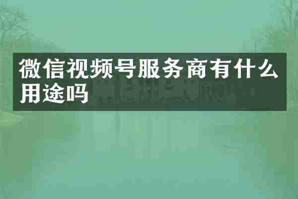 微信视频号服务商有什么用途吗