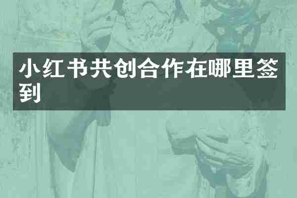 小红书共创合作在哪里签到