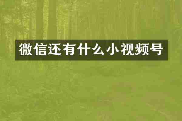 微信还有什么小视频号