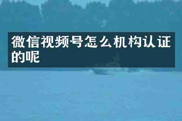 微信视频号怎么机构认证的呢