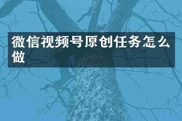 微信视频号原创任务怎么做