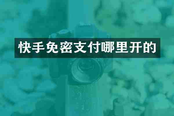 快手免密支付哪里开的