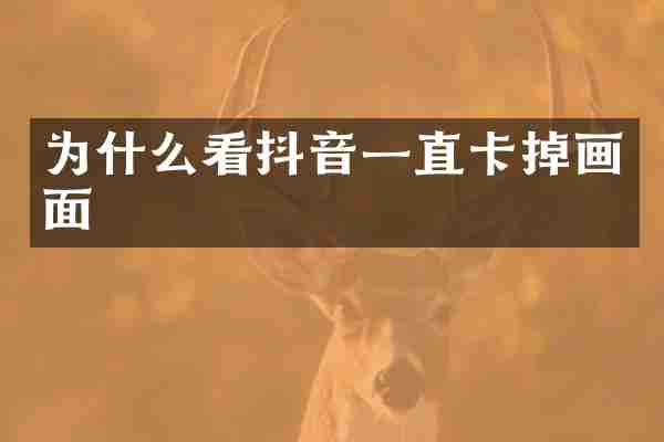 为什么看抖音一直卡掉画面