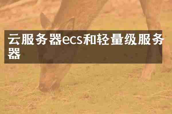 云服务器ecs和轻量级服务器