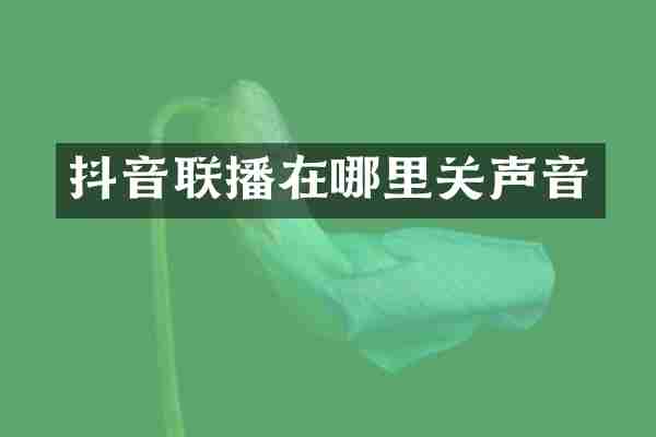抖音联播在哪里关声音