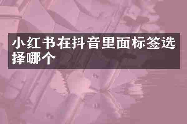 小红书在抖音里面标签选择哪个