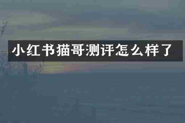 小红书猫哥测评怎么样了