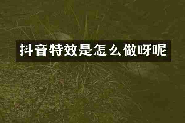抖音特效是怎么做呀呢