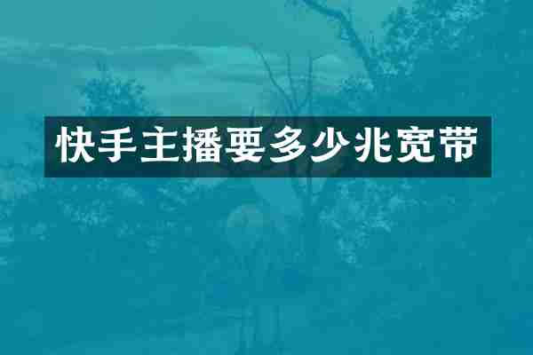 快手主播要多少兆宽带