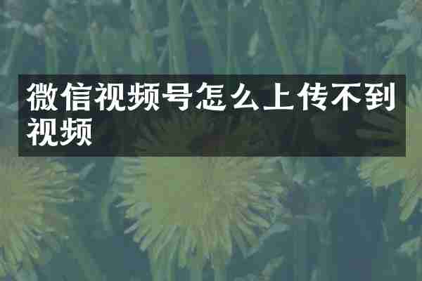 微信视频号怎么上传不到视频
