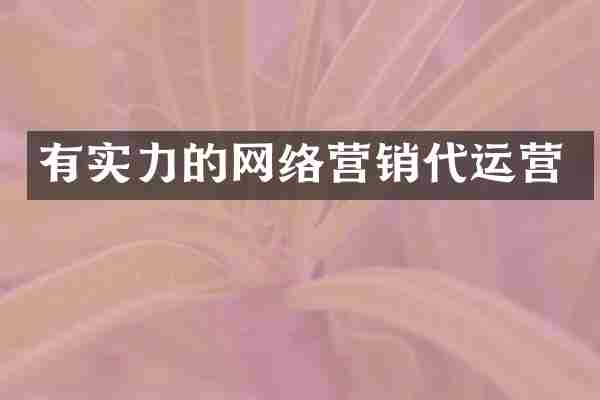 有实力的网络营销代运营