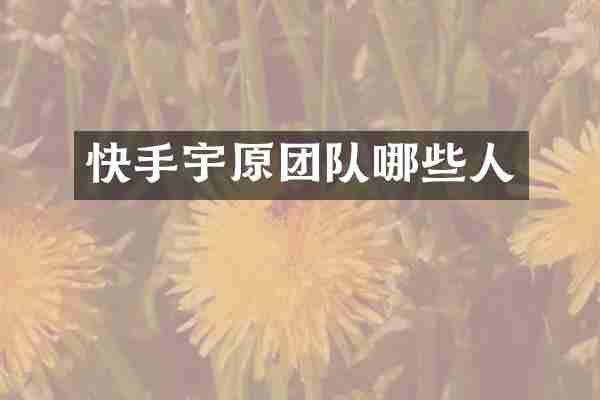 快手宇原团队哪些人