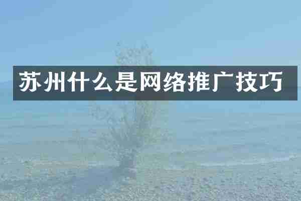 苏州什么是网络推广技巧