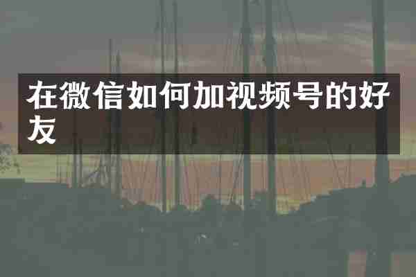 在微信如何加视频号的好友
