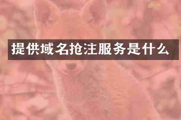 提供域名抢注服务是什么